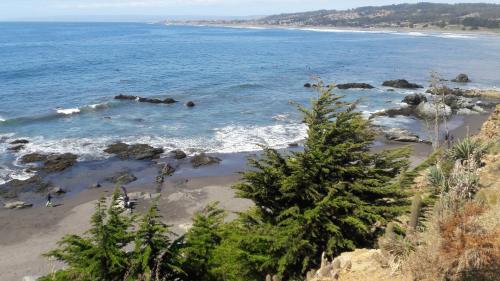 a beach with some trees and the ocean at Cabañas Rancho Pinares in Pichilemu