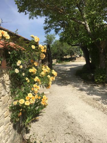 Ảnh trong thư viện ảnh của Les Juliens ở Gordes