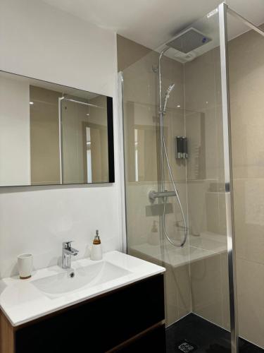 une salle de bain avec un lavabo et une douche dans l'établissement King, à Dijon