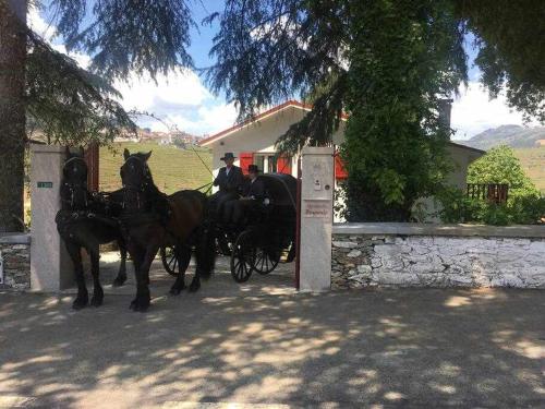 a horse drawn carriage with two people in it at Quinta da Pousada Casa de Campo in Santa Marta de Penaguião