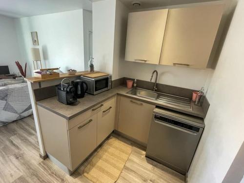 a small kitchen with a sink and a microwave at Joli petit appartement. in Saint-Genest-Lerpt