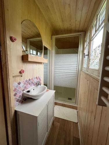 une petite salle de bain avec un lavabo et un miroir dans l'établissement Les logements insolites de la Base Nautique, à Verneuil