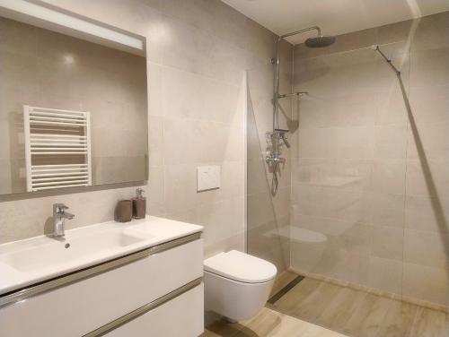 a bathroom with a shower and a toilet and a sink at Apartamento Aura in Jávea