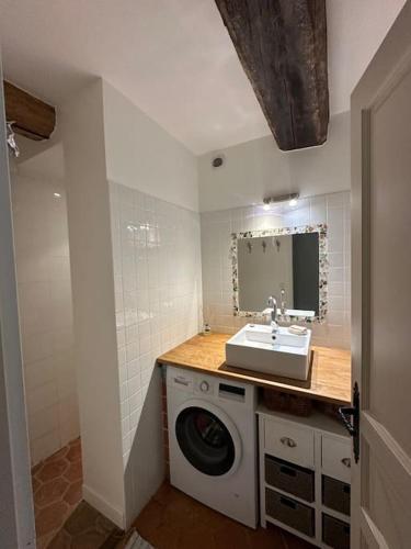 une salle de bain avec une machine à laver et un lavabo dans l'établissement Charming Normandy Cottage, à Saint-Julien-sur-Calonne