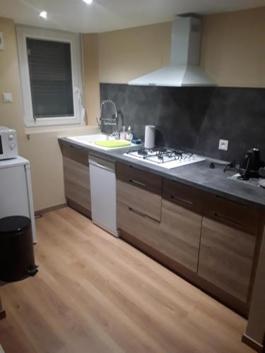 une cuisine avec un évier et une cuisinière four supérieur dans l'établissement Gite nature, à Mandray