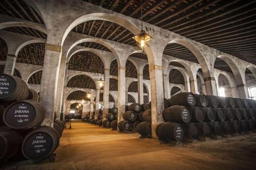 a room with a bunch of wine barrels in it at Apartamento en pleno centro de Jerez de la Frontera in Jerez de la Frontera