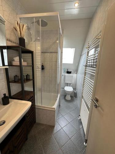 a bathroom with a shower and a toilet at FeWo Topnik in Castrop-Rauxel