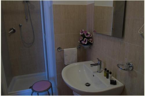 bagno con lavandino e doccia di Agriturismo Camera Rosa a Todi