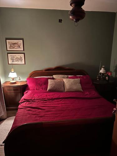 a bedroom with a bed with a red comforter at Charming place in the nature-Casita Iris in Bijeljina