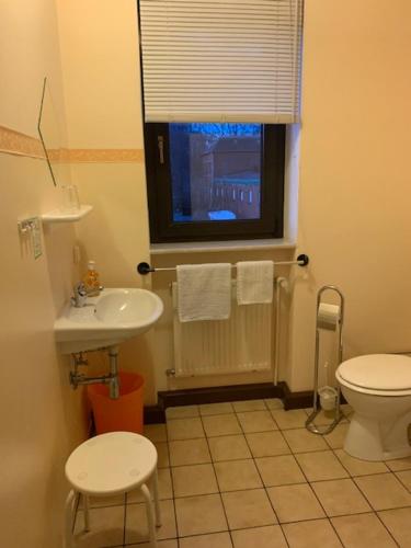 a bathroom with a sink and a toilet and a window at Pension Krahmer in Chemnitz
