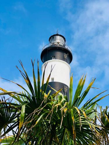 a lighthouse with a palm tree in front of it at Annonce supprimée in Dolus d'Oléron