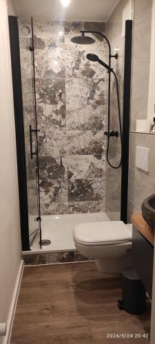 a bathroom with a shower and a toilet and a sink at Lilli Flensburg Fewo in Flensburg
