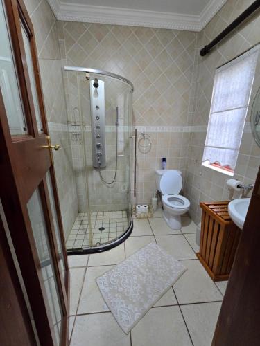 a bathroom with a shower and a toilet at President's Place in Parys