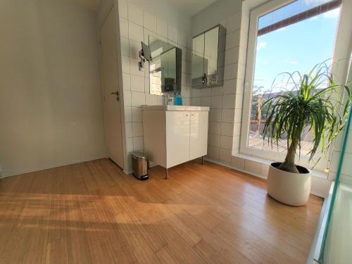 ein Badezimmer mit einem Waschbecken, einem Spiegel und einer Topfpflanze in der Unterkunft Villa Terra by Festif Azur - House 250m2 Quiet, 5 min walk from Palais des Festivals and Beaches in Cannes