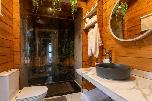 a bathroom with a sink and a toilet and a mirror at Adega da Quinta -Casa da Pipas in Madalena