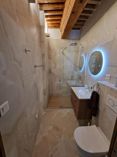 une salle de bain avec une douche, des toilettes et un lavabo dans l'établissement Cosy appartment in old town, 2 mins walking distance to lake, à Annecy