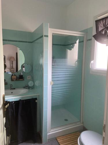 une salle de bain avec douche et lavabo dans l'établissement Villa Saint Marc Jaumegarde proche de la Sainte Victoire, à Saint-Marc-Jaumegarde