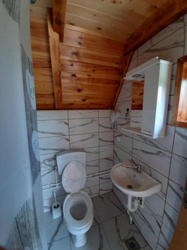 a small bathroom with a toilet and a sink at Wooden cottage Podgora in Žabljak