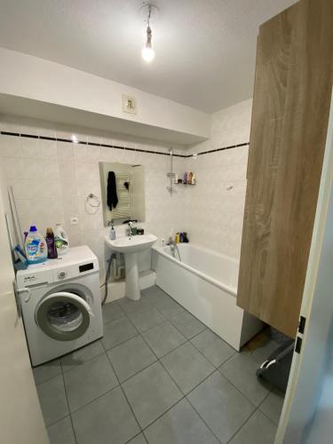 une salle de bain avec une machine à laver et un lavabo dans l'établissement Apparemment T4 avec 3 chambres et terrasses, à Besançon