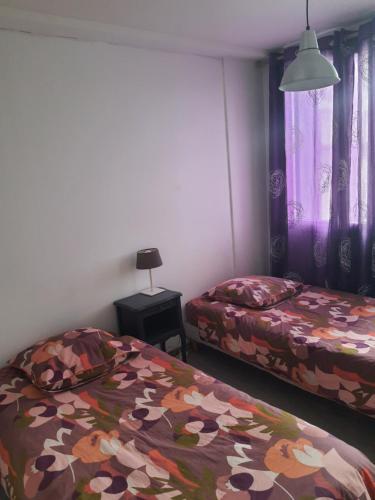 een kamer met 2 bedden en een tafel met een lamp bij SAINT LYS in Toulouse