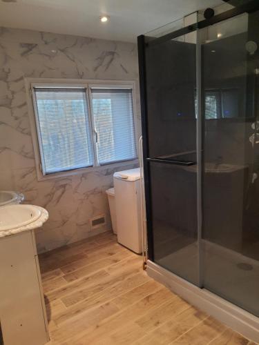 een badkamer met een douche en een wastafel bij SAINT LYS in Toulouse