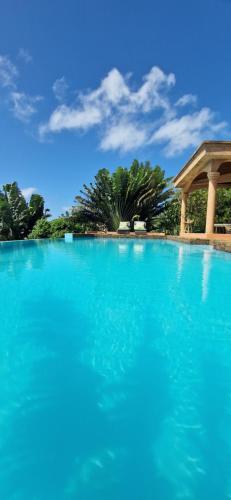 une grande piscine d'eau bleue avec des arbres en arrière-plan dans l'établissement La Villa Ankarena Location de villa entière avec piscine privée à débordement sur parc aménagé Wifi TV Plage à 5 minutes à pied, sur l'île Sainte-Marie