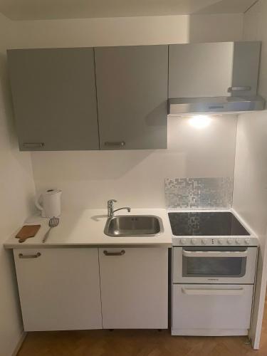 une cuisine blanche avec un évier et une cuisinière dans l'établissement Beautiful 45 m2 private apartment in Paris Montparnasse, à Paris