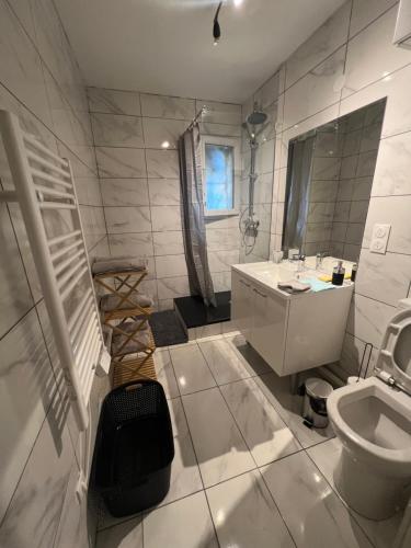une salle de bain blanche avec un lavabo et des toilettes dans l'établissement Appartement avec place de parking privé et jardin, à Beaumont-sur-Oise