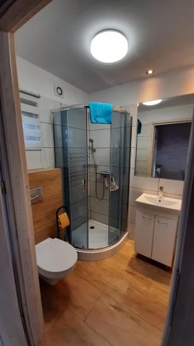 a bathroom with a shower and a toilet and a sink at Perełka Kopań in Kopań