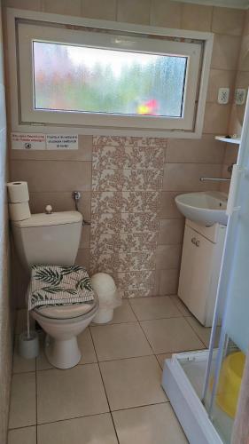 a small bathroom with a toilet and a sink at Domki Wrzosowo in Wrzosowo