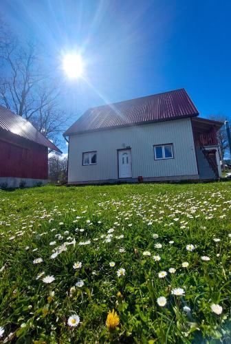 a barn with a field of flowers in front of it at Domaćinstvo Krstajić - Rural holiday in Žabljak