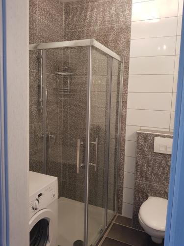 a shower stall in a bathroom with a toilet at Apartment Oasis - Novalja in Novalja
