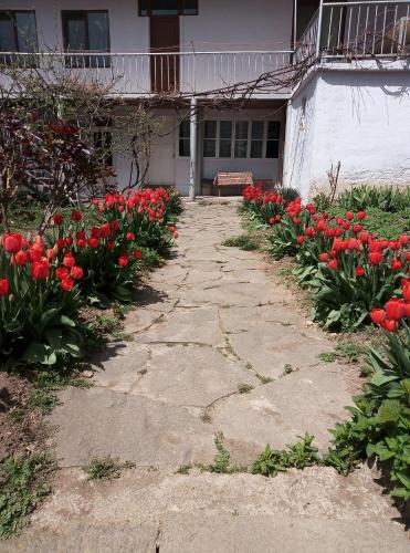 a walkway in front of a house with red tulips at Aspet B&B in Tatʼev