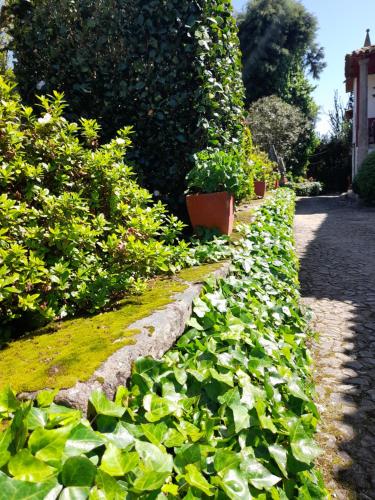 um jardim com plantas verdes e flores num caminho em Quinta da Maínha - Charming Houses em Braga