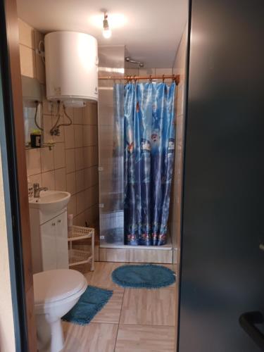 e bagno con doccia, servizi igienici e tenda per la doccia. di Betlejem Domek nad Jeziorem a Gostycyn