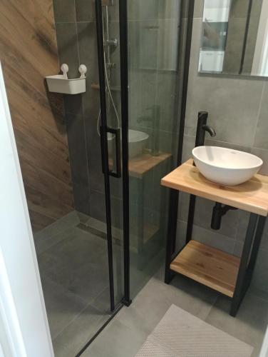 a bathroom with a glass shower and a sink at Skalny domek in Krościenko