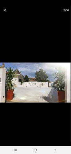 deux photos de plantes en pots dans une rue dans l'établissement Villa avec piscine, à Alès