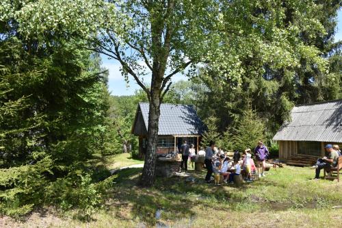 un grupo de personas sentadas frente a una cabaña en Casuta dintre brazi en Râșca