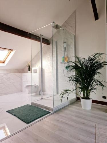La salle de bains est pourvue d'une douche et d'une plante en pot. dans l'établissement Grande maison en Bords de Marne - 25 min de Paris, à Créteil