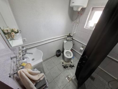 a small bathroom with a toilet and a window at Apartmani Feliks in Resavica
