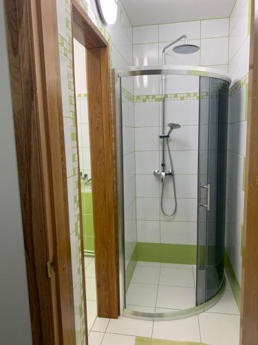 a bathroom with a shower with a glass door at Green House in Ramučiai