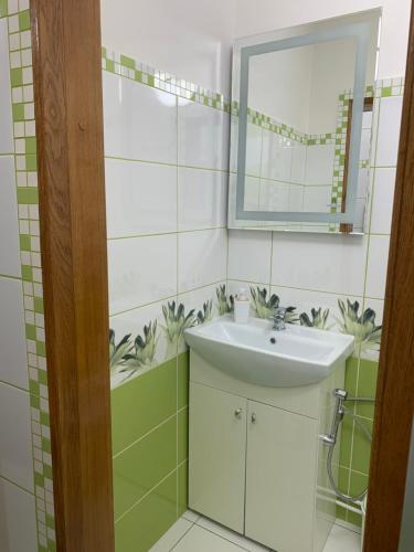 a bathroom with a sink and a mirror at Green House in Ramučiai