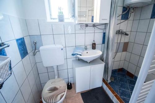 La petite salle de bains est pourvue de toilettes et d'un lavabo. dans l'établissement Kuća za odmor 204 jezero Šoderica, à Legrad