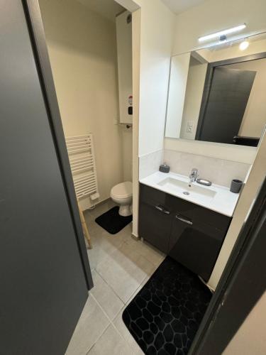 une salle de bain avec un lavabo, des toilettes et un miroir dans l'établissement Très bel appartement, à Cannes