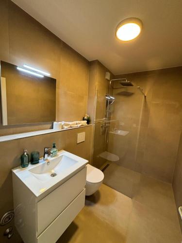 W łazience znajduje się umywalka, toaleta i prysznic. w obiekcie Charming Apartement Luxembourg City Center, Parking, Balcony w Luksemburgu