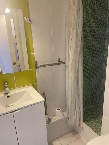 une salle de bain avec une douche avec un lavabo et des toilettes dans l'établissement studio charmant sur île des pêcheurs résidence piscine tennis, au Cap d'Agde