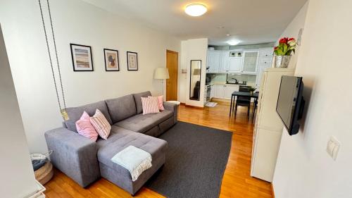 a living room with a couch and a kitchen at Calle Barrera. En el centro! in A Coruña