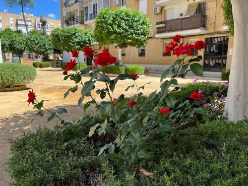 Triana Family suites