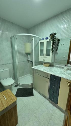 a bathroom with a shower and a toilet and a sink at Calle Barrera. En el centro! in A Coruña