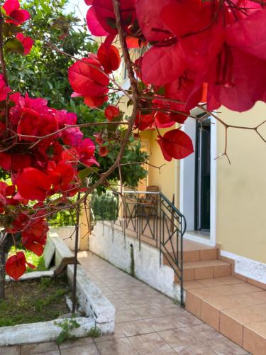 Fotografie z fotogalerie ubytování Neighborhood home v destinaci Lixouri